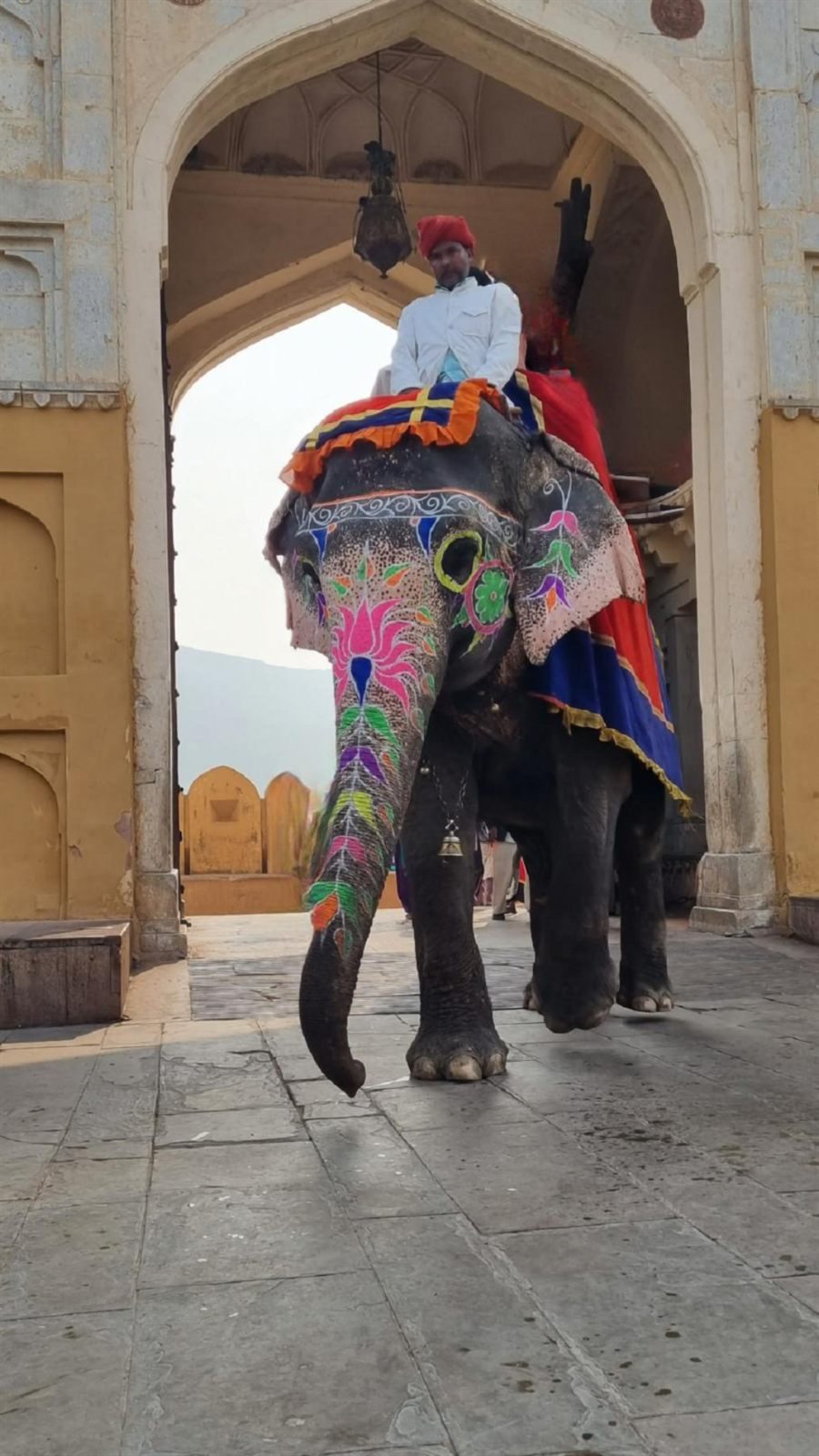 Ospiti di India Karni durante il loro viaggio