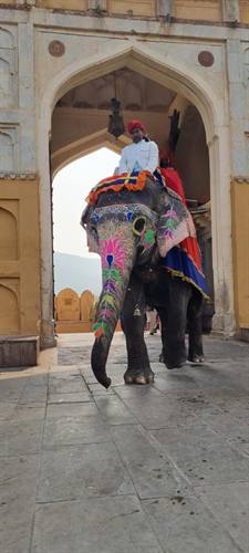 Viaggi India Karni — fotografia 95