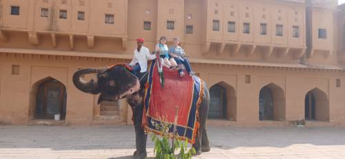 Viaggi India Karni — fotografia 381