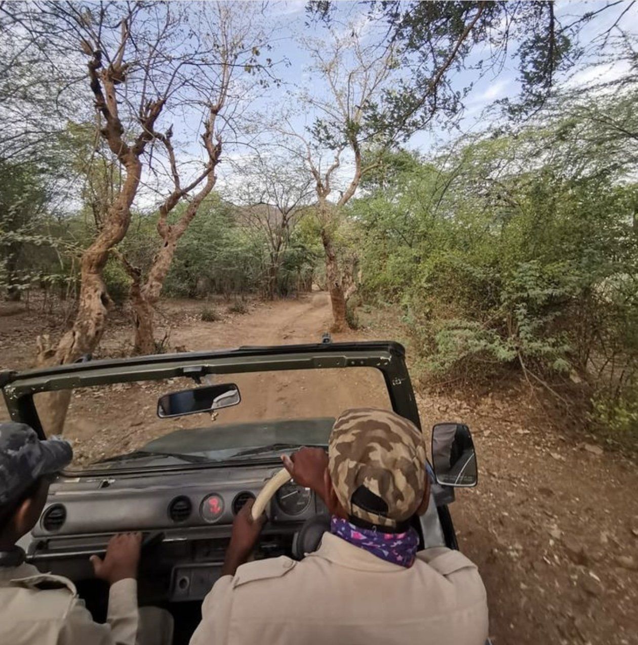 Safari naturalistici in India