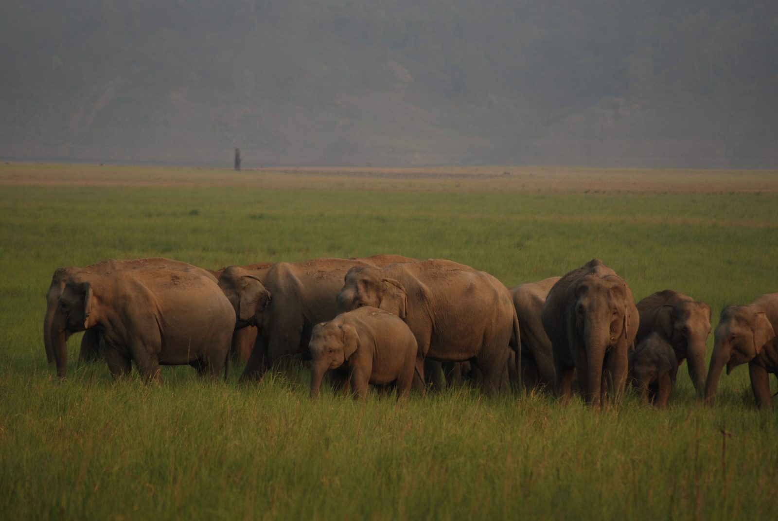 Safari naturalistico – 15 giorni