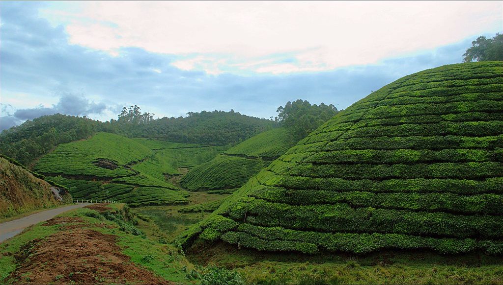 Thekkady
