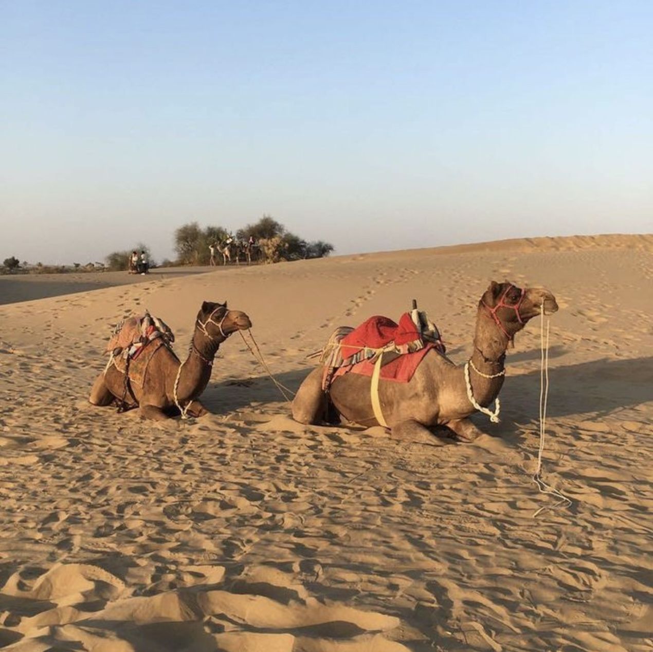 Jaisalmer