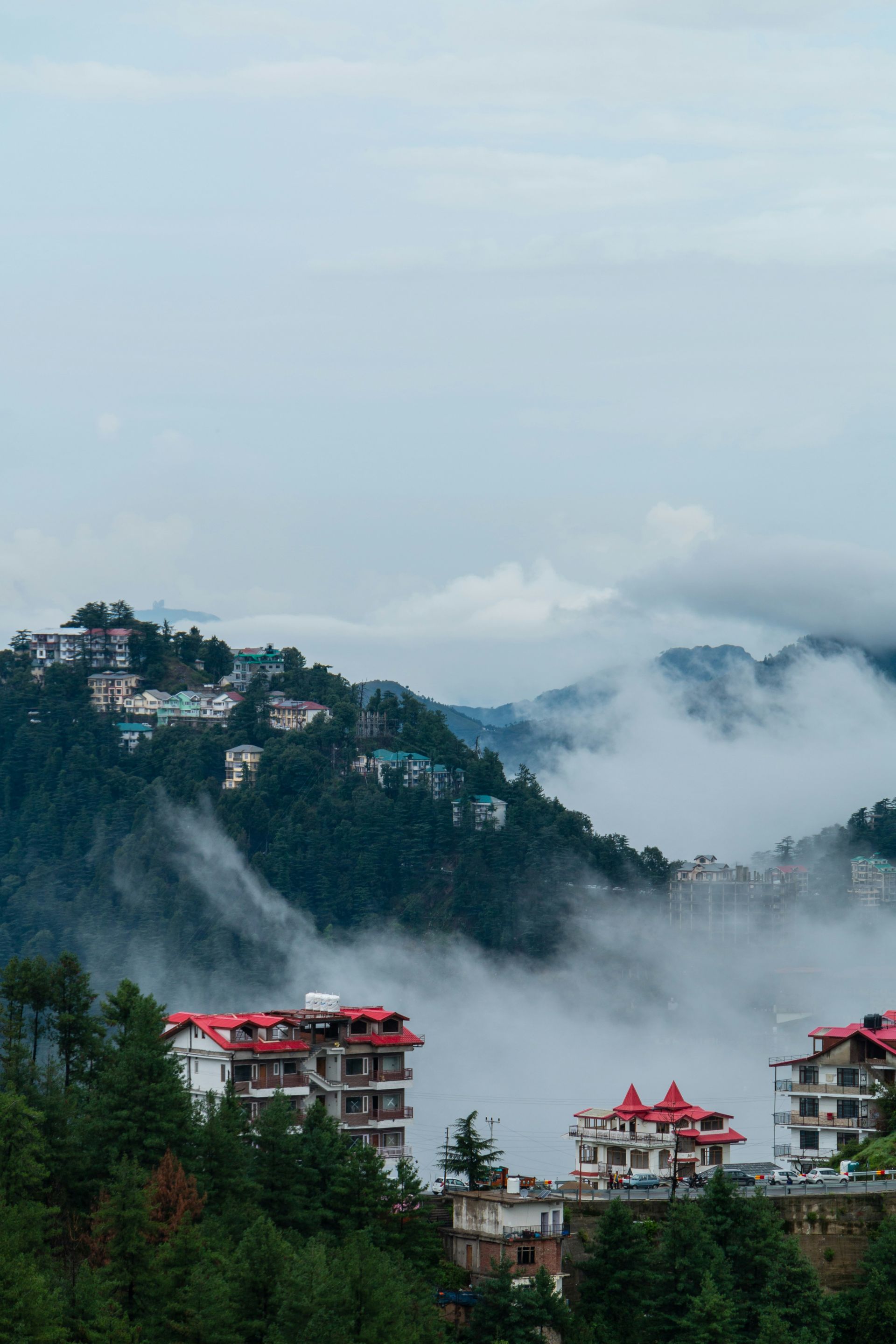 Shimla