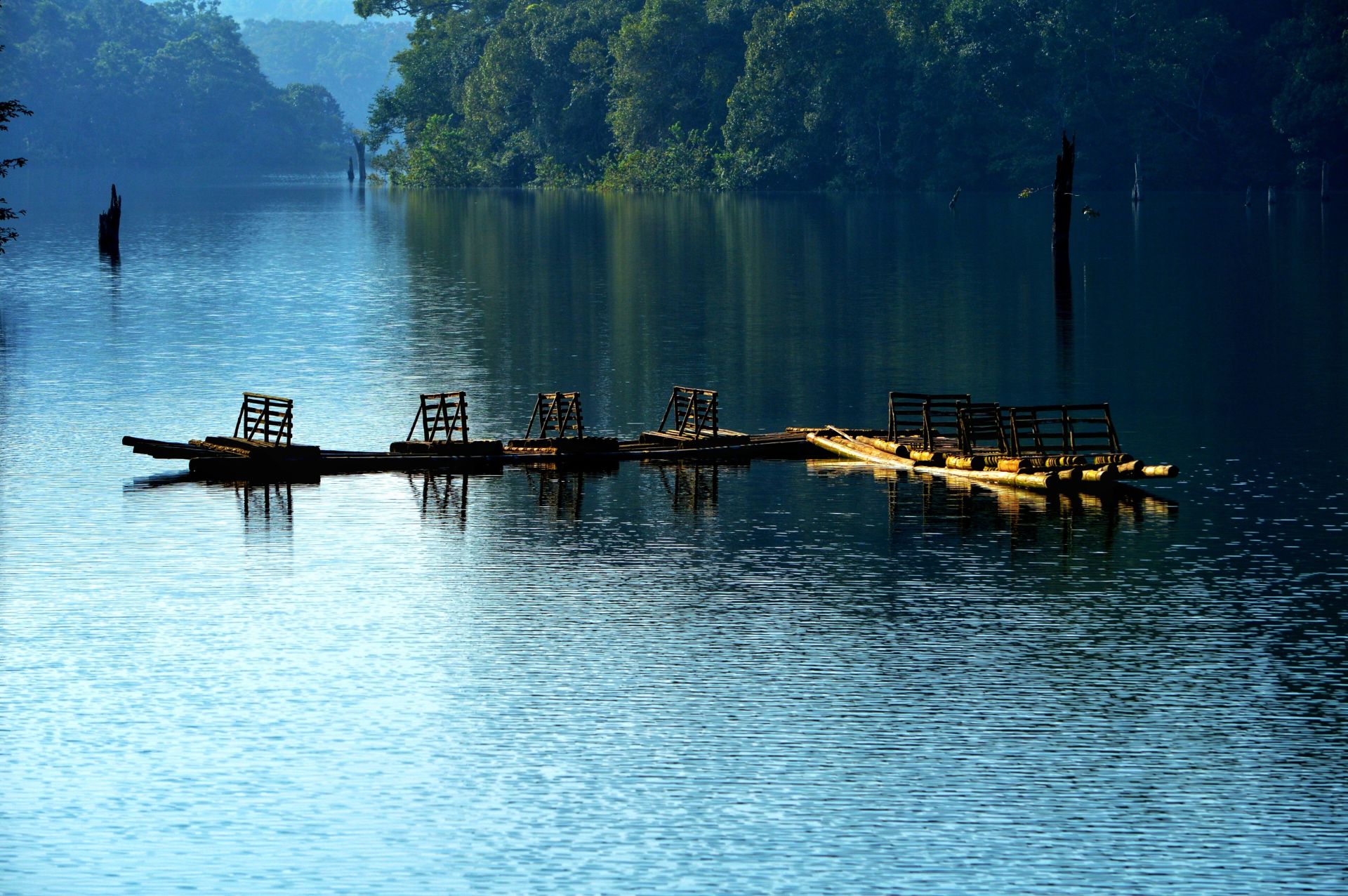 Thekkady