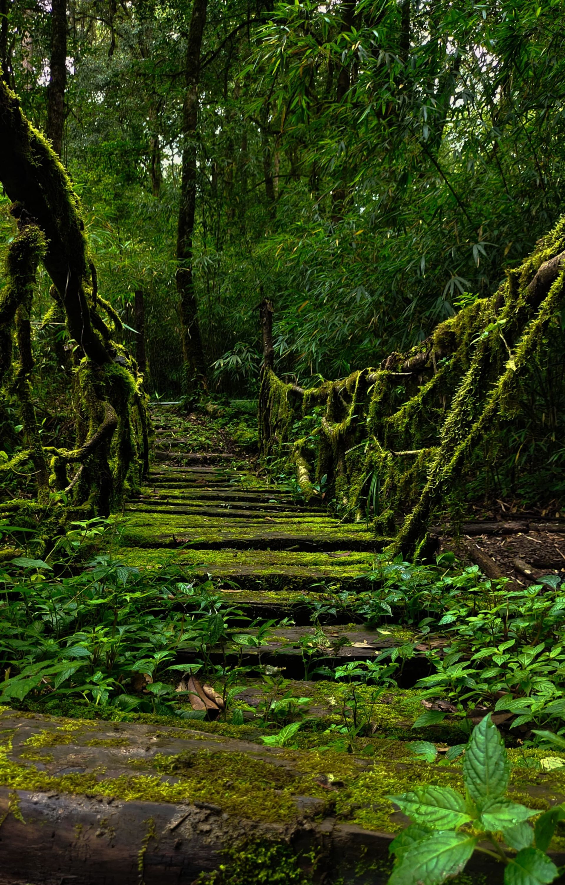 Cherrapunji