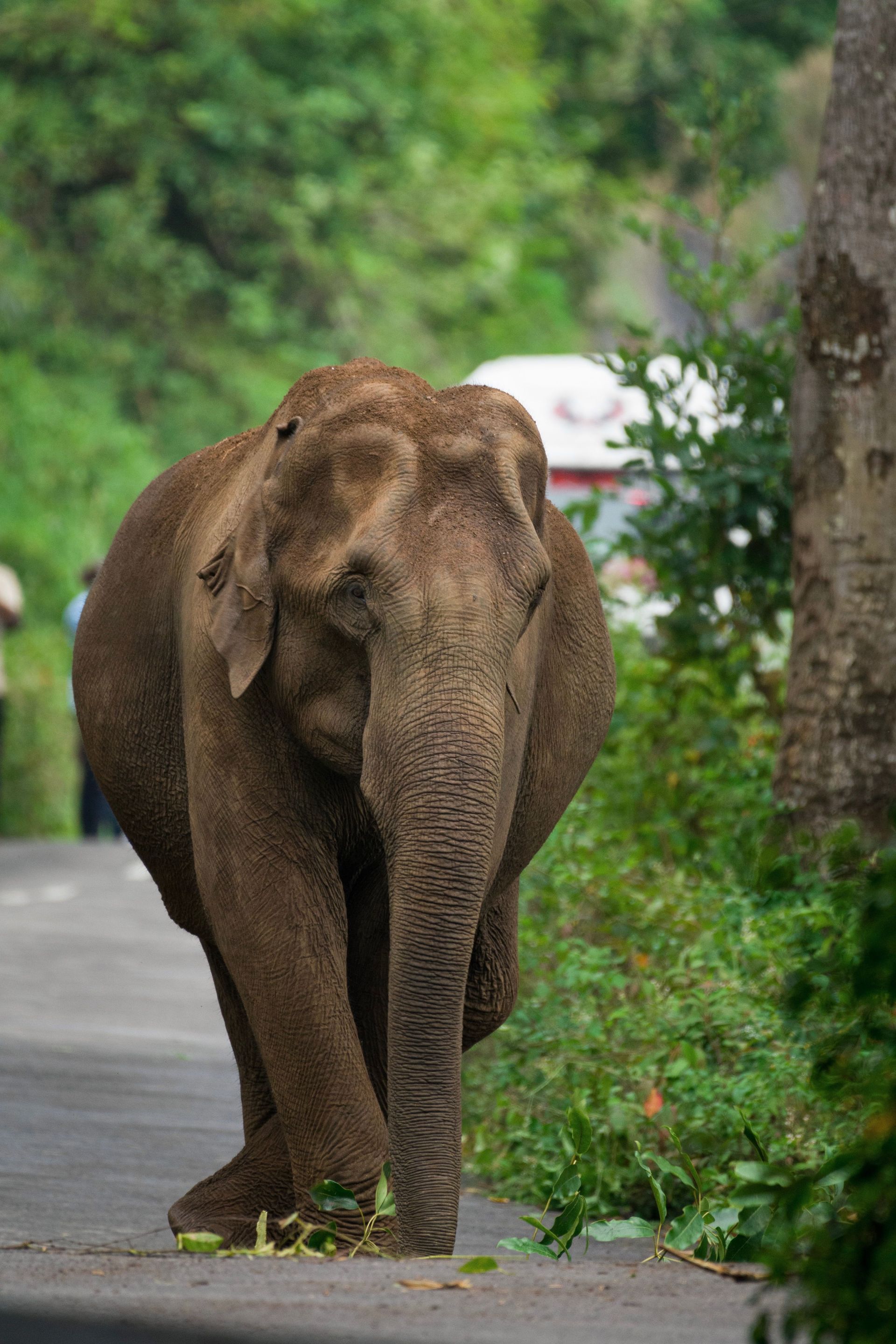 Munnar