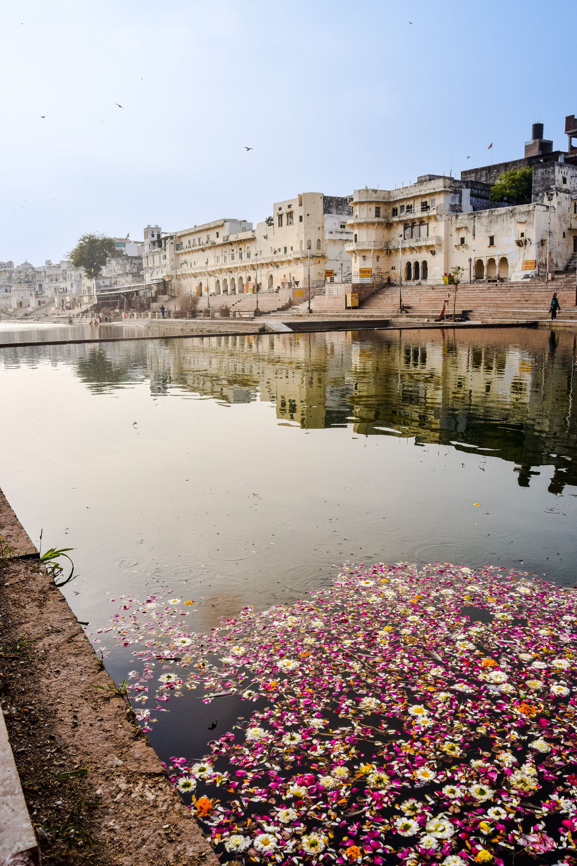 Pushkar