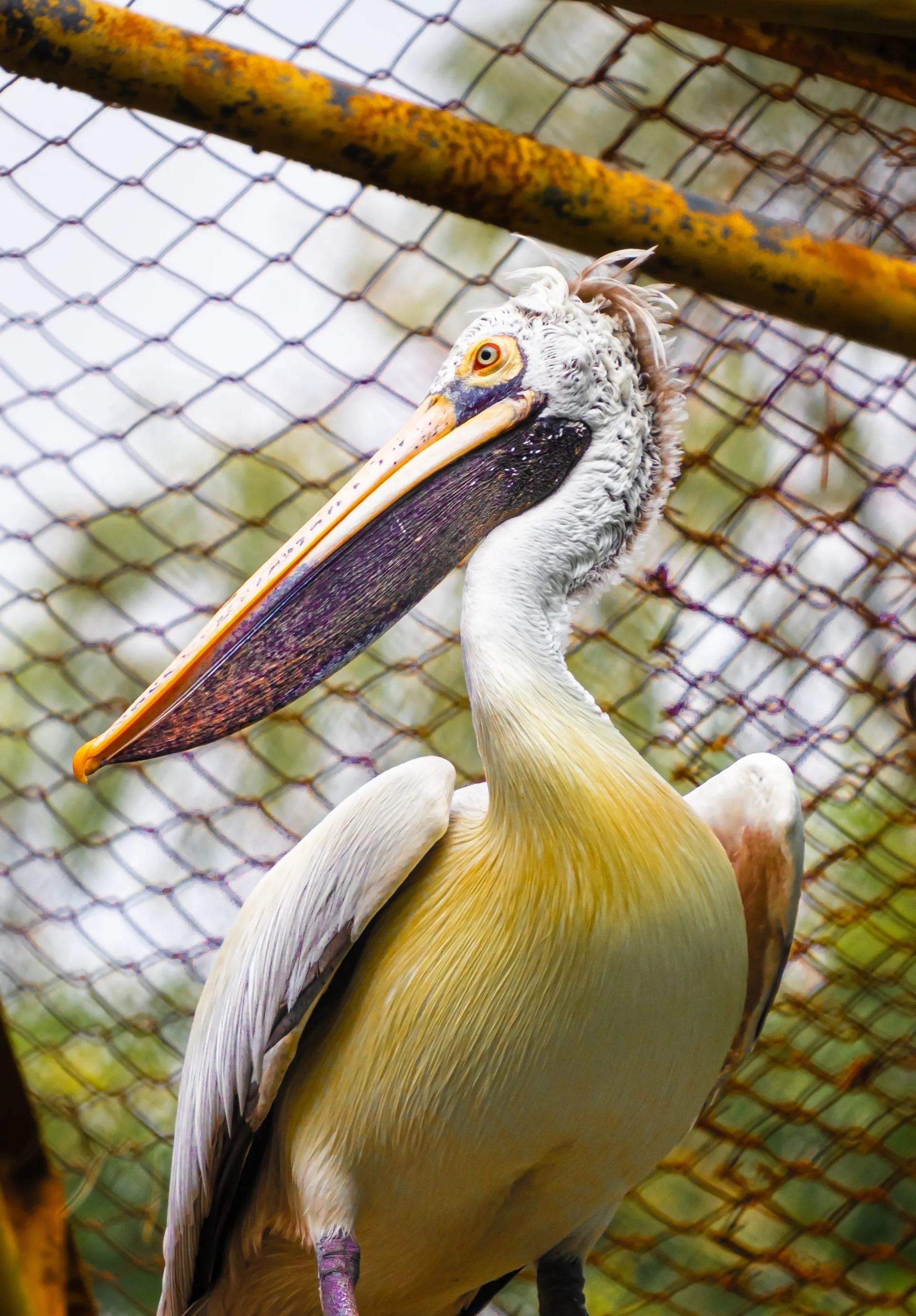 Bharatpur