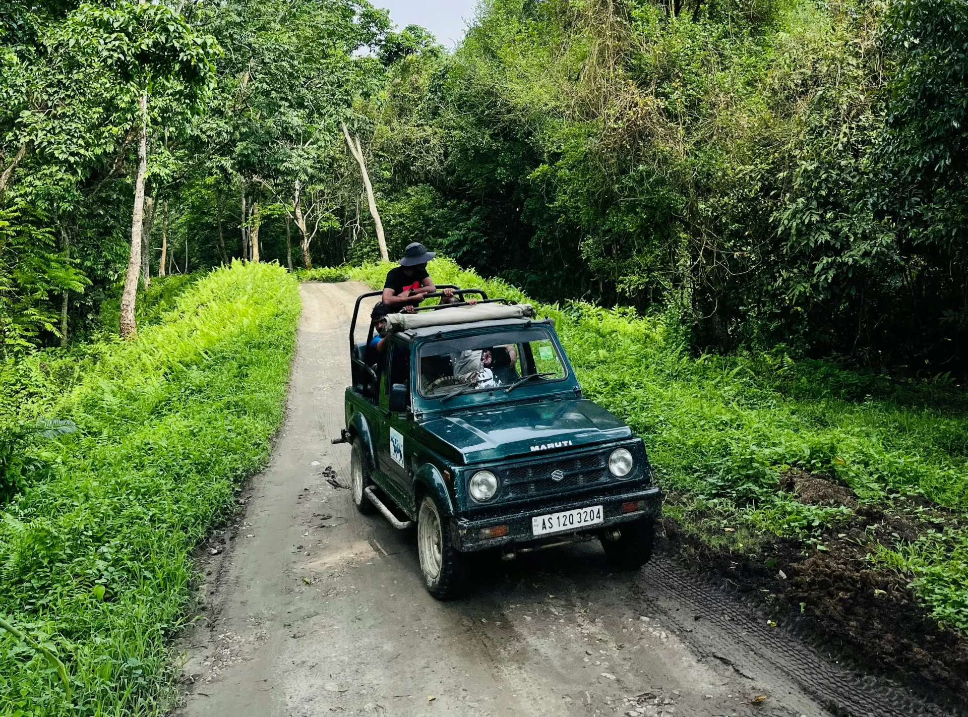 Sariska