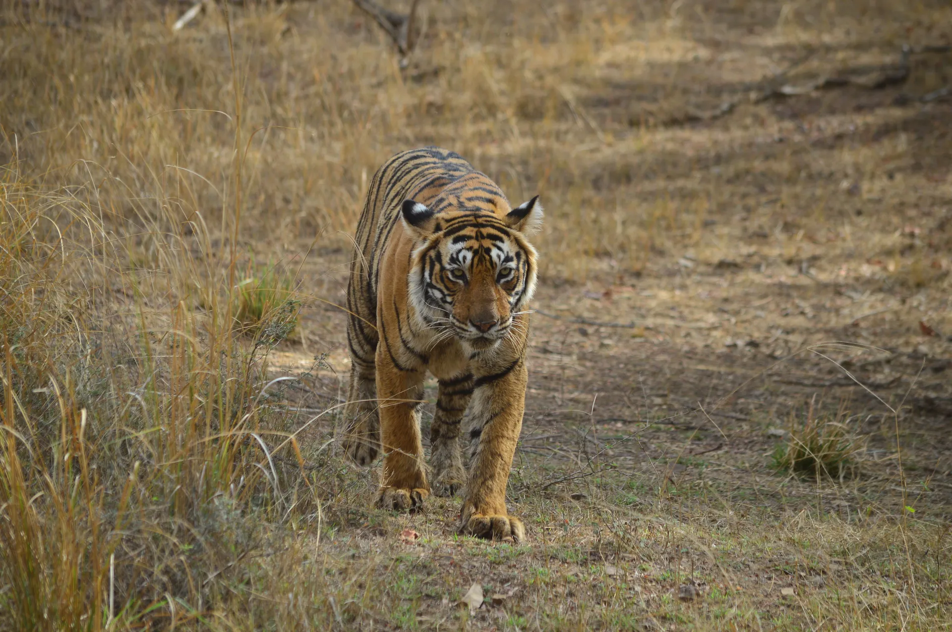 Abhaneri