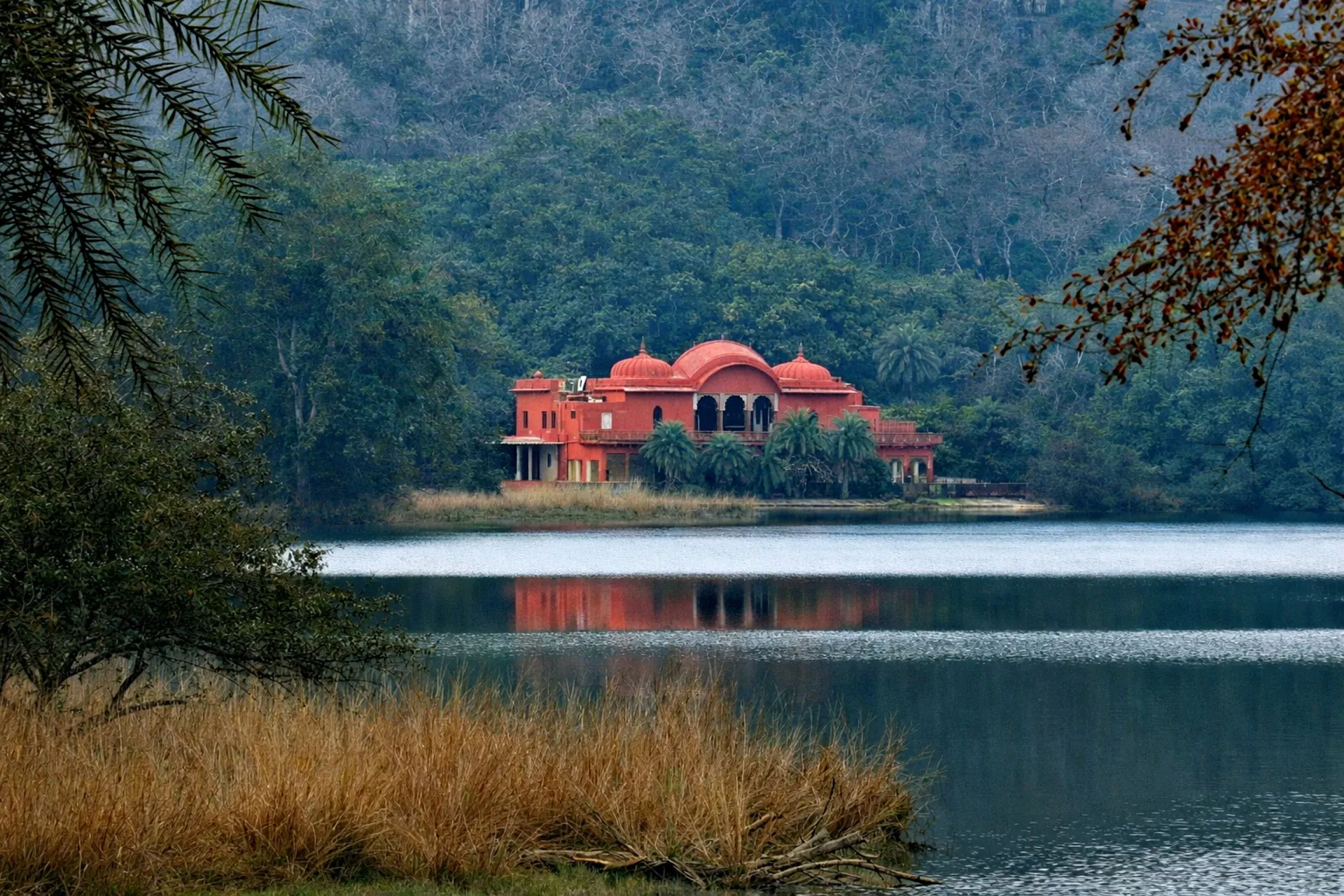 Ranthambore