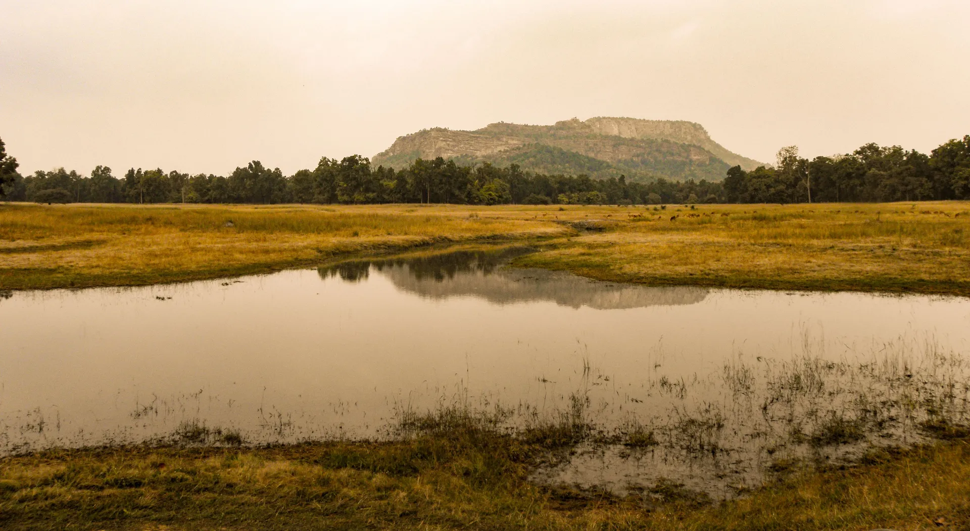 Bandhavgarh