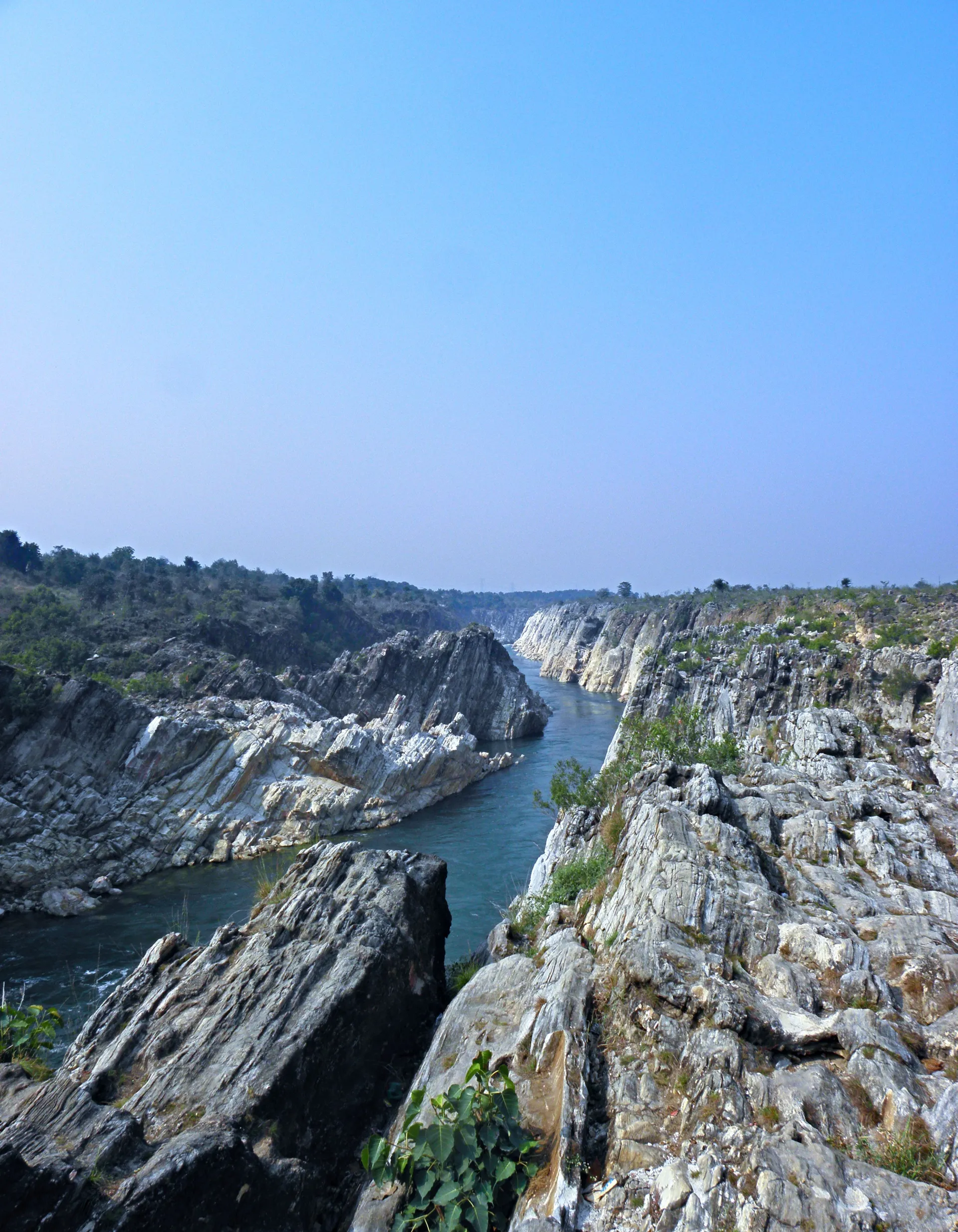 Kanha