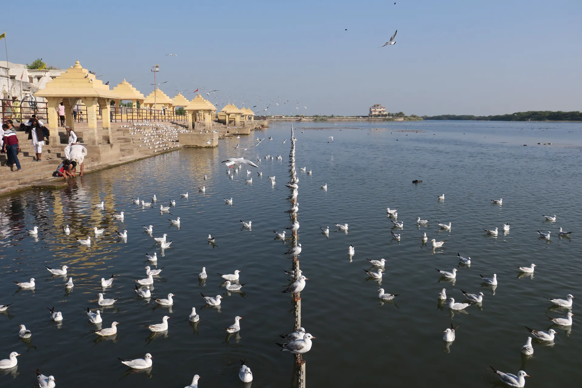 Kutch