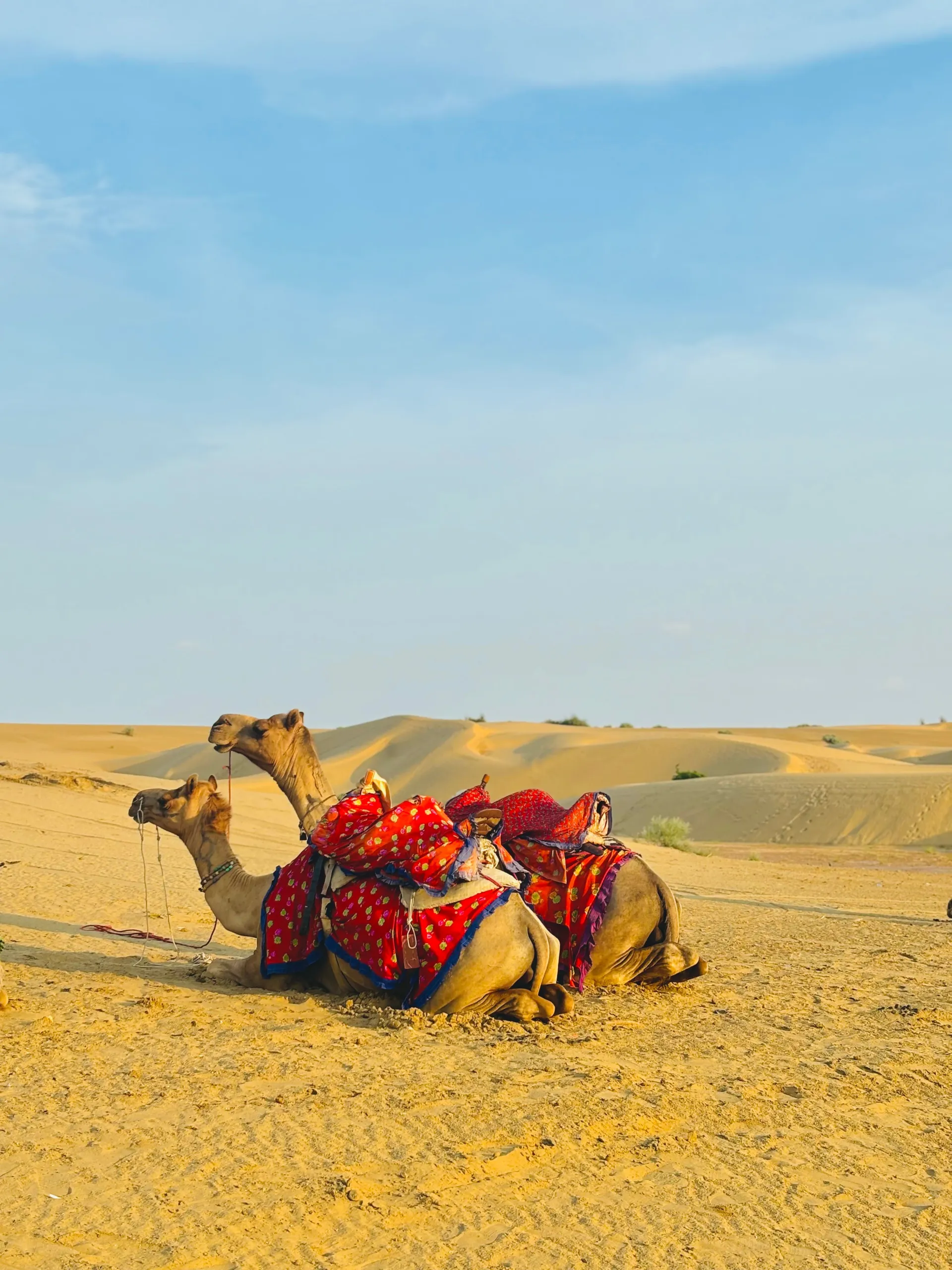 Jaisalmer