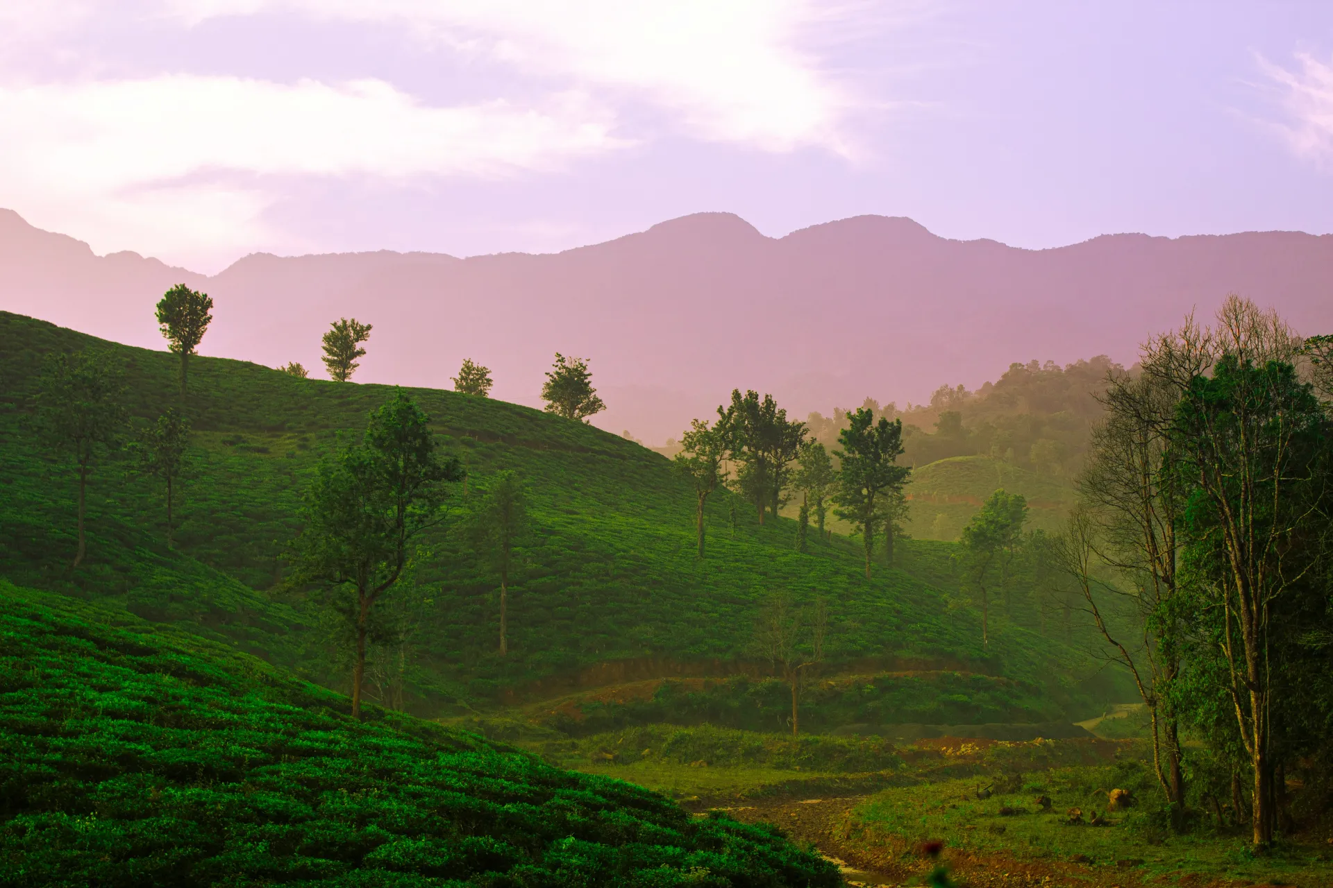Munnar