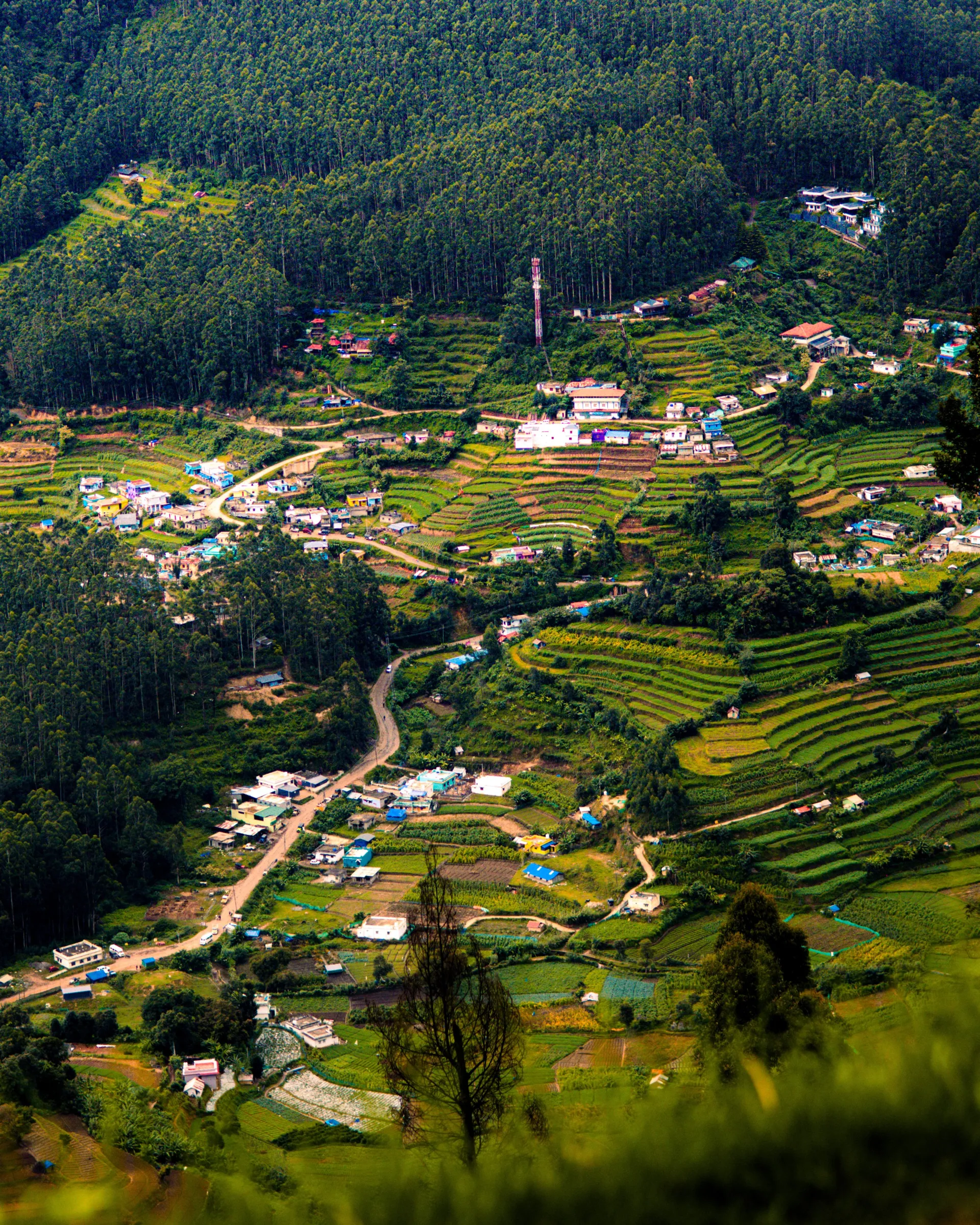 Munnar