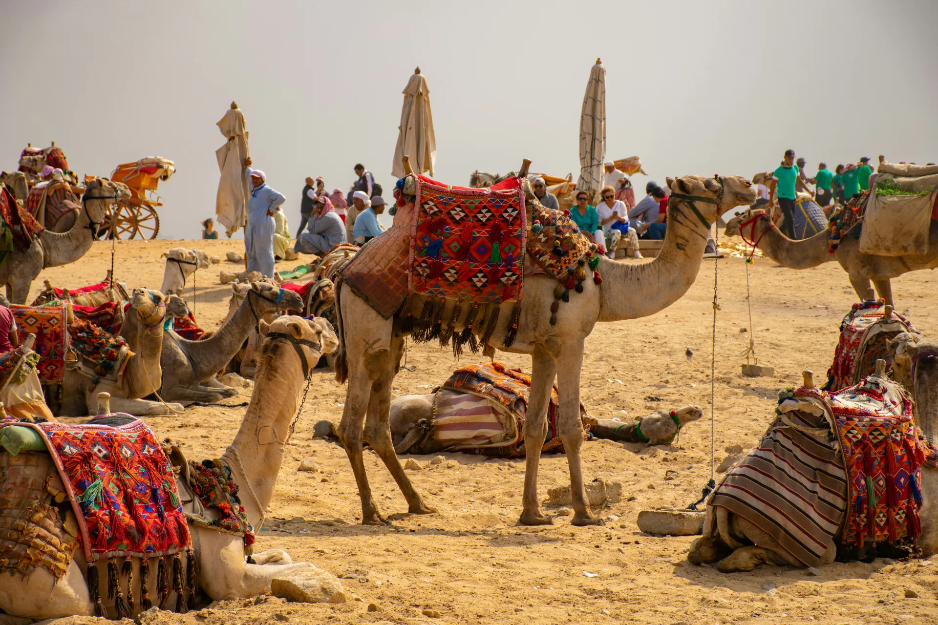 Festival del Deserto di Jaisalmer